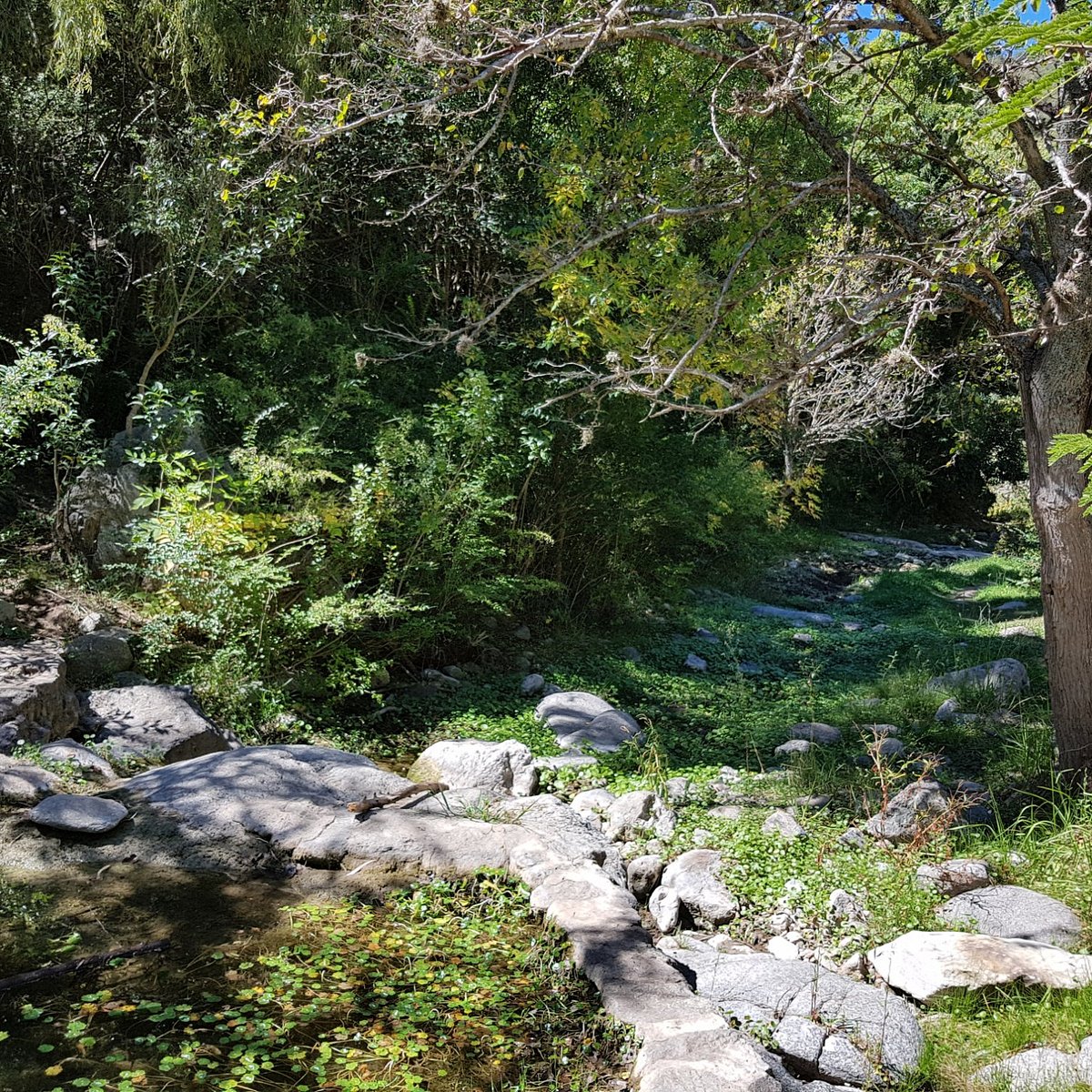 Pozo Verde
